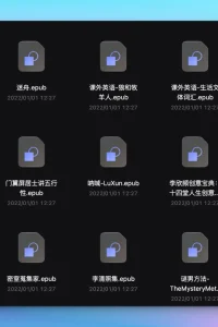 ePUBee整站电子书分享（423G）
